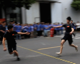 5.gif